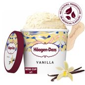 Vanilla & Cream 100ml