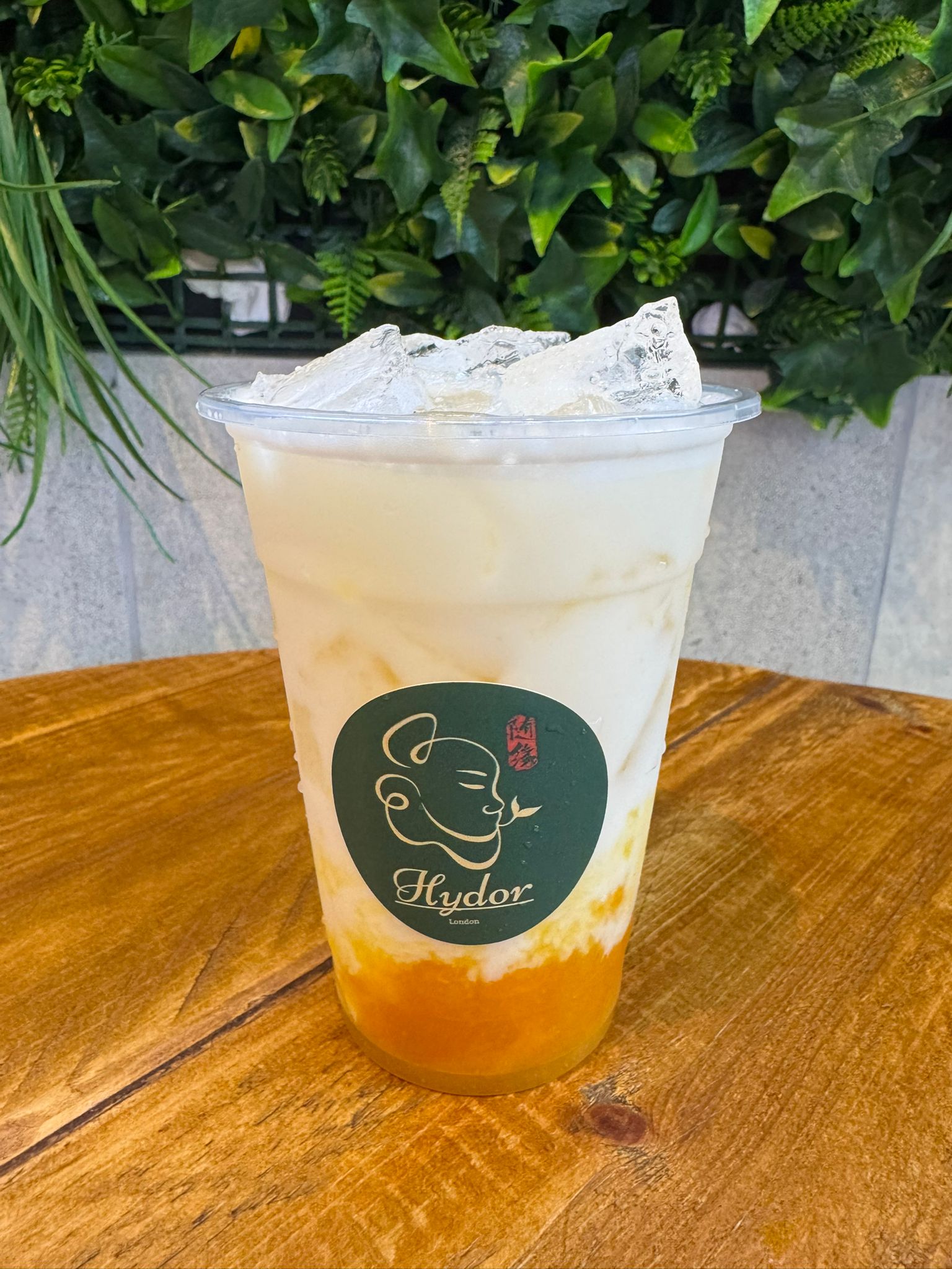 Mango Coconut Milk芒果生椰