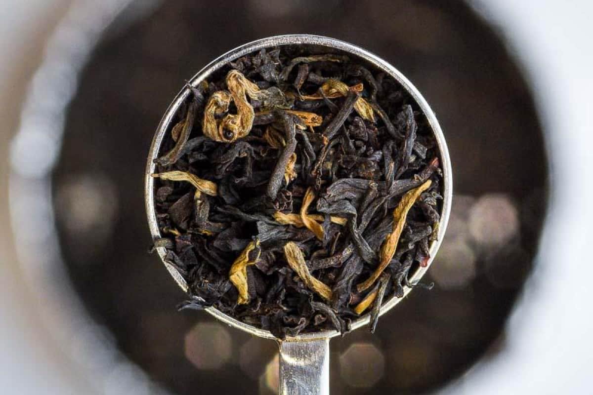 Proper Tea