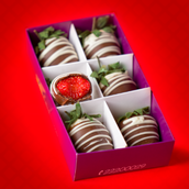 Strawberry Chocolate 