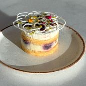 Bitonia Cake