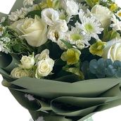 Spring Flowers