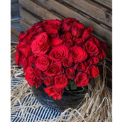 Black Round Vase Red Roses