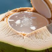 Tender Coconut