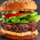 Vegetarian Burger