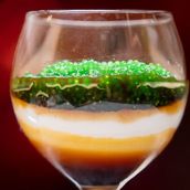 Mango Coconut Panna cotta