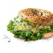 Tuna Salad Bagel