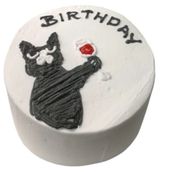 Party Treat Bento Cake