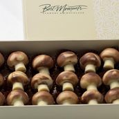 Hazelnut mushroom