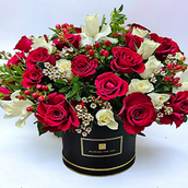 Black Box Rw