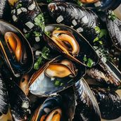 Black Mussels