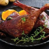 Quarter Duck
