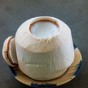 Coconut Jelly