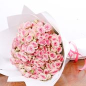 Pink Baby Rose Bouquet Lite