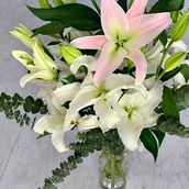 Liliam Casablanca, Liliam Sturgeser Bouquet