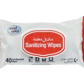 Sanitizing Wipes 40 Anti Bacterial Wipes