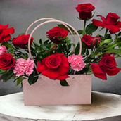 Redink Bag