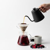 v60 berry