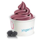 Medium Blackberry Flavour Without Toppings