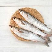 Buri ( Mullet ) Fish Meal