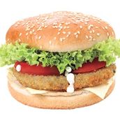 Vegetable Burger