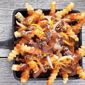 Michigan Premium French Fries