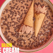 Silver Ice cream cake