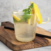 Lemon With Mint Mojito 