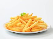 French Fries Dish