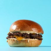  Molo Burger