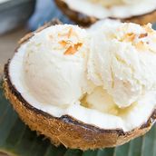 Coconut Ice Cream Organic 