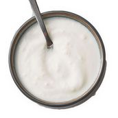 Garlic Cream ( S or M )