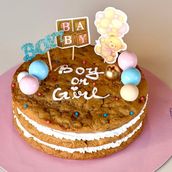 Gender Reveal Cake