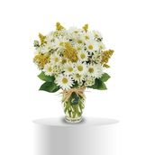 Daisy Delight Vase