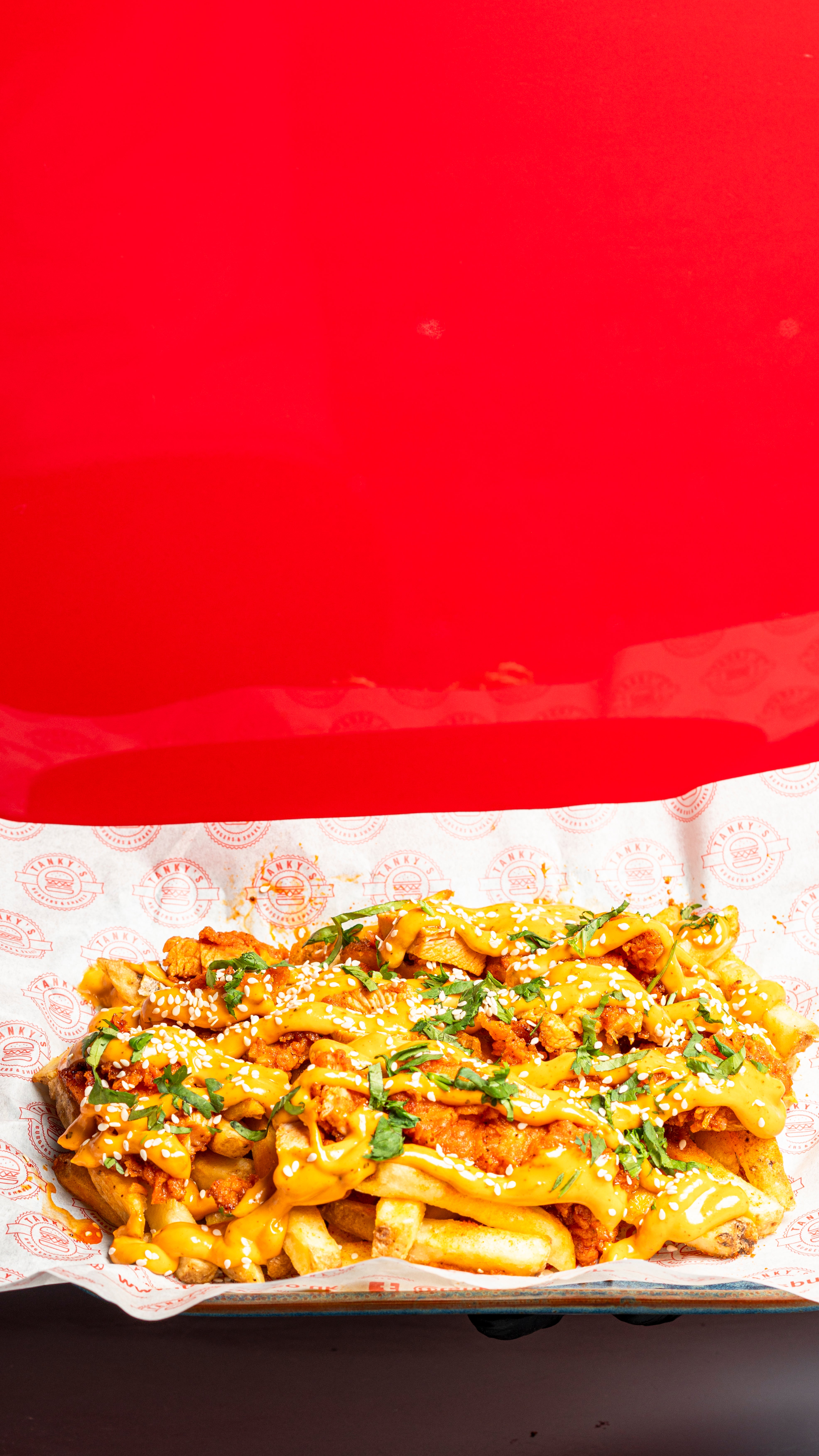 Loaded Nashville Fries