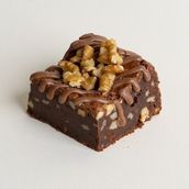 Chocolate Walnut