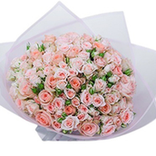 Peach Baby Rose Bouquet 30