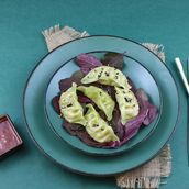 Vegetable Gyoza Dumpling