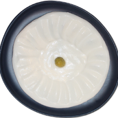 Garlic Dip Sauce