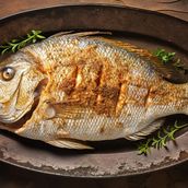 Tilapia Fish