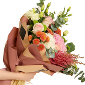 BLOOM AND BLOSSOM