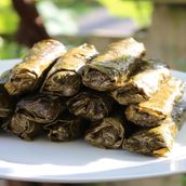 Grape Leaves (Stuffed Vine Leaves)