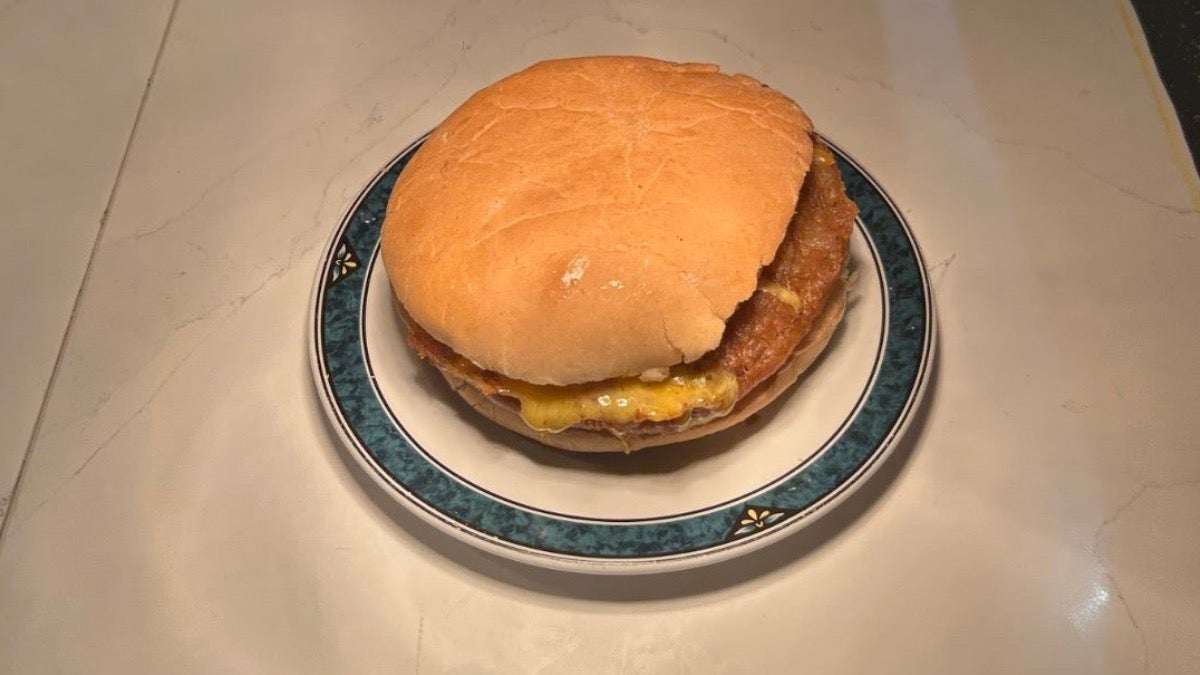 Battered Cheese Burger in a Bun