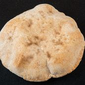 Organic Whole Wheat Bread