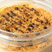 Hala Khashkhash