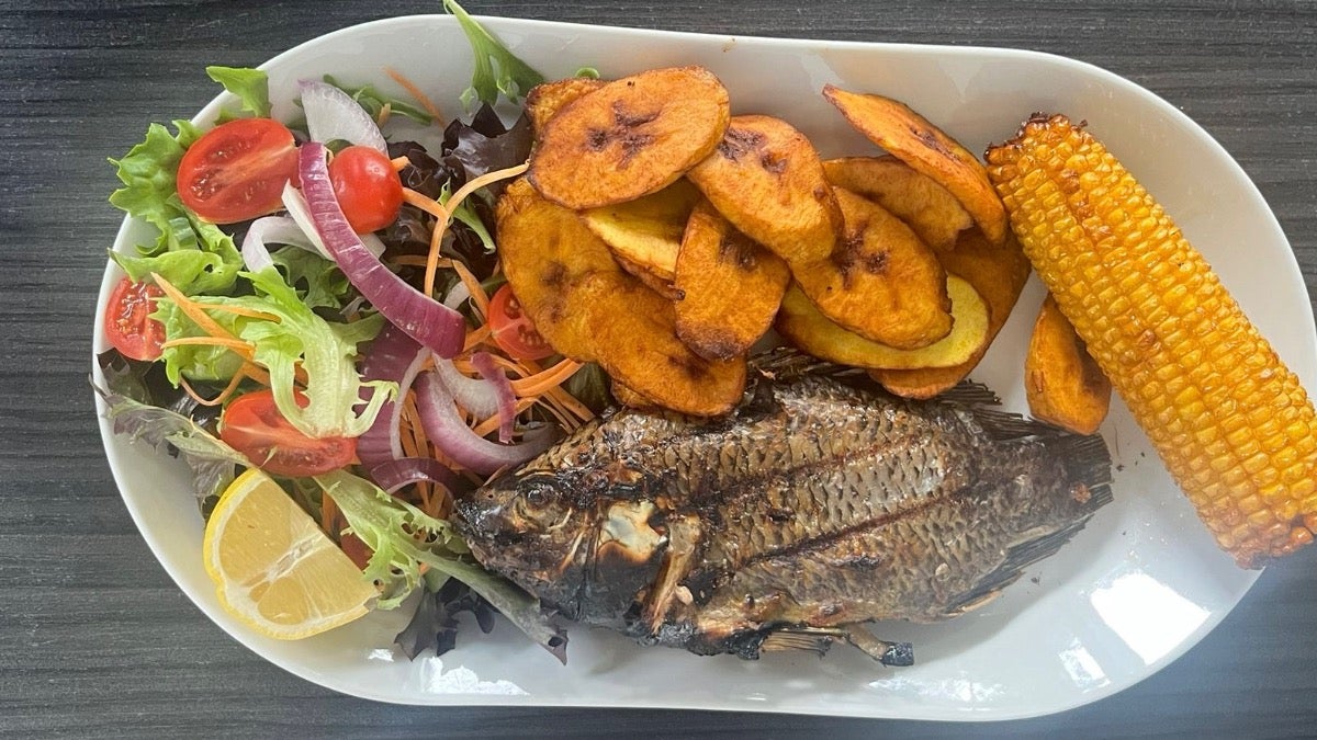 Tilapia Meal