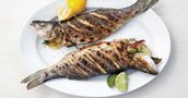Grilled Mullet with Lemon & Oil Meal