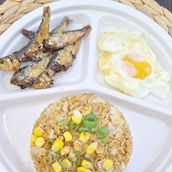 Tuyosilog