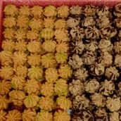 Petit Four