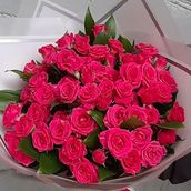Hot Pink Baby Rose 10Sticks